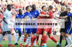 世界杯中国谁去的_世界杯中国哪个组